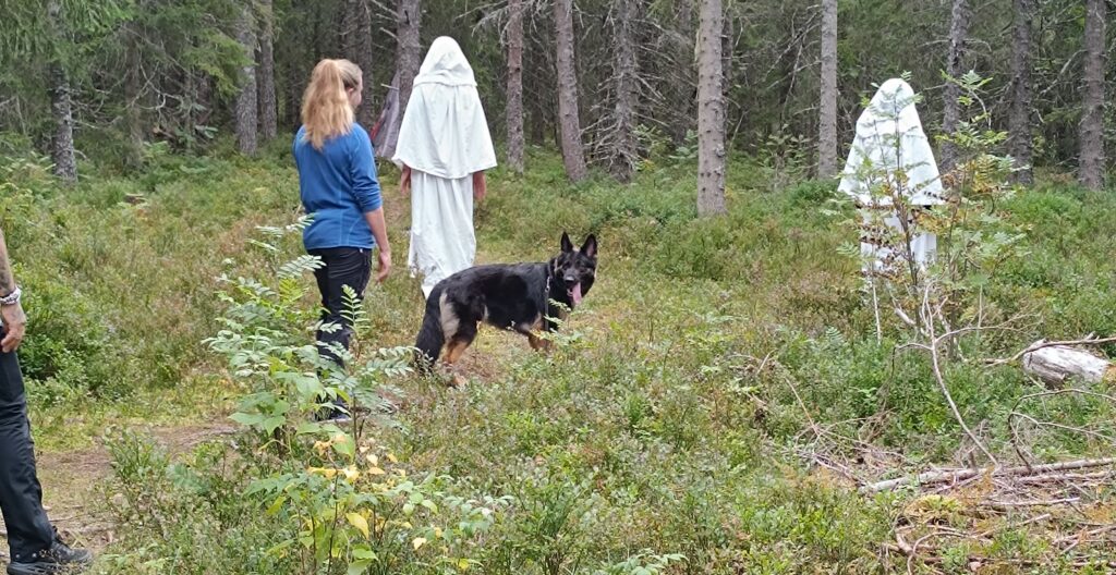 Hva er mentaltest hund