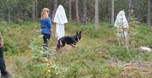 Hva er mentaltest hund