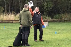 Cobra av Hundhamaren gjennomfører brukshundkåring