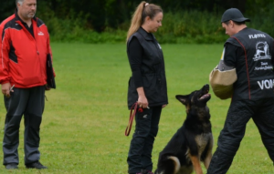 IGP hundesport – avlsverktøy, sport eller titteljakt