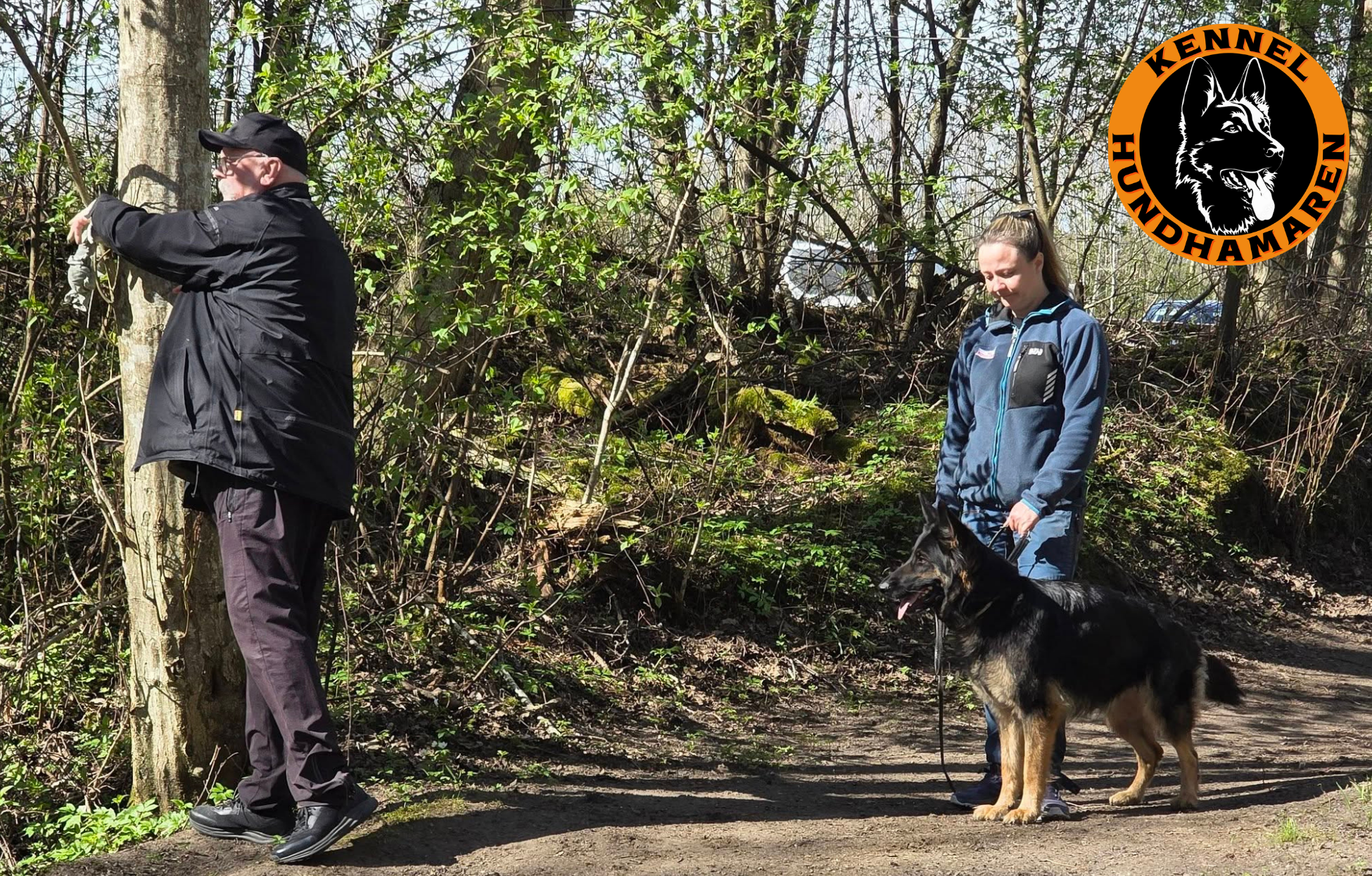 Alpha av Hundhamaren, en stødig hund som lett håndterer mentaltester