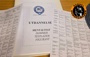 Funksjonsanalyse- Mentaltest og Karaktertest – en oppdretters guide til norske mentaltester