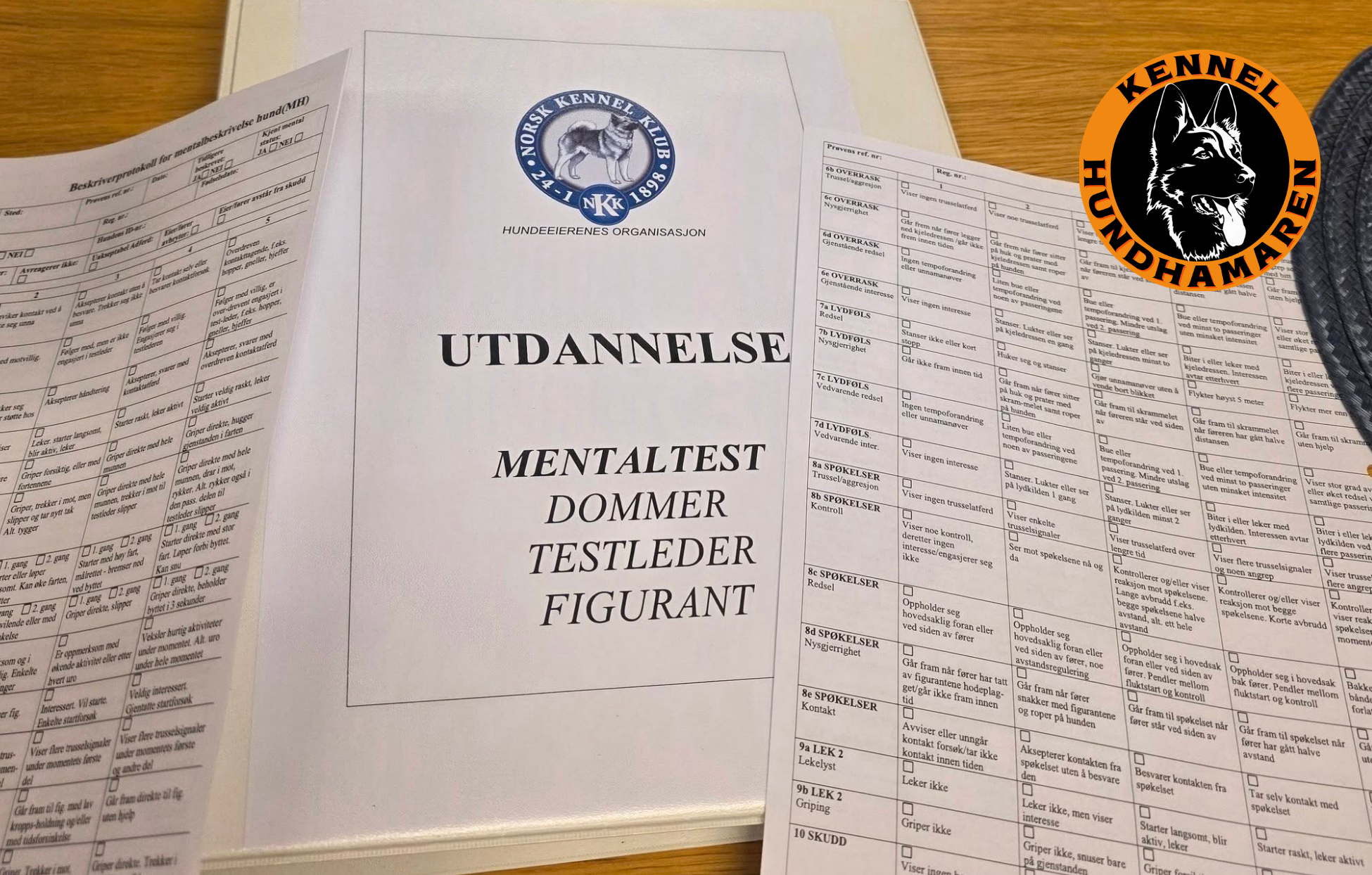 Funksjonsanalyse- Mentaltest og Karaktertest – en oppdretters guide til norske mentaltester