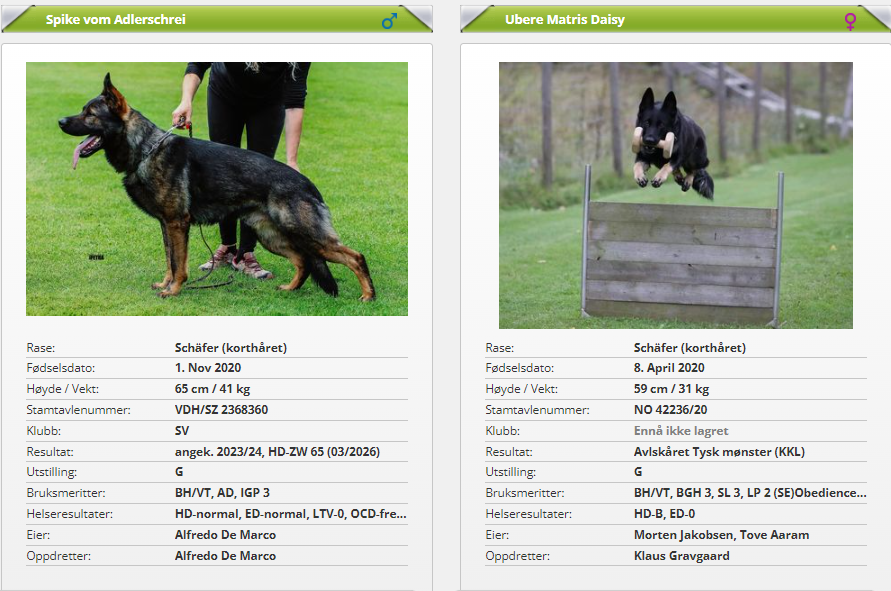 Spike vom Adlerschrei og Ubere Matris Daisy